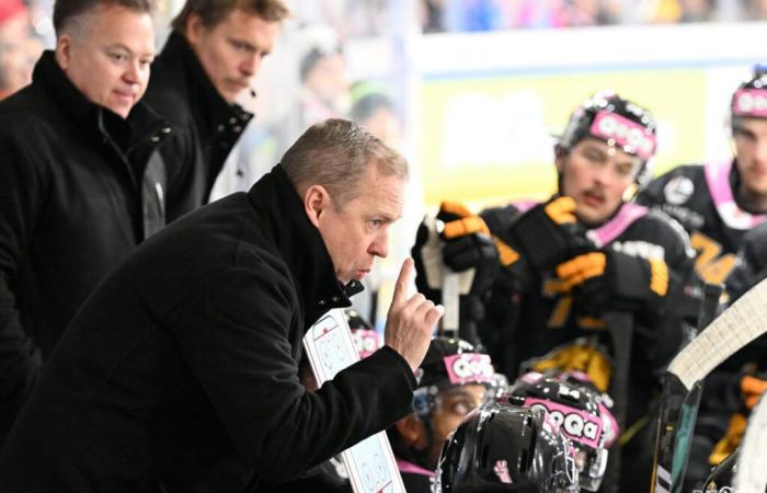 Le HC Ajoie réagit aux rumeurs liées au HC Lugano