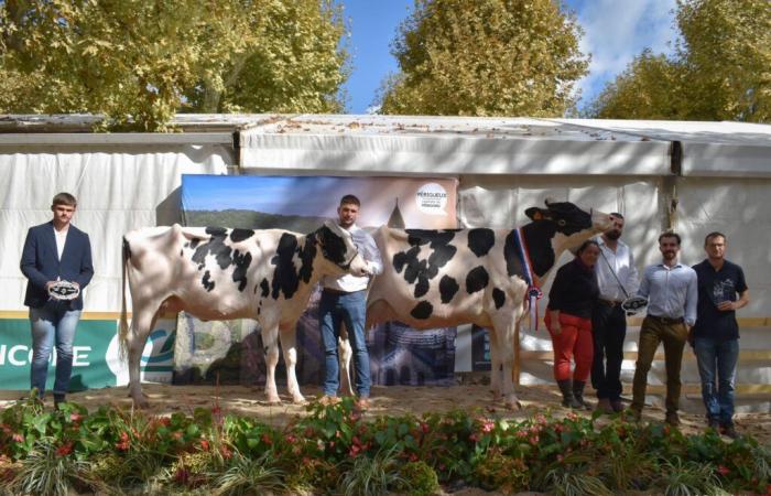 Lauréats du concours départemental Dordogne 2024