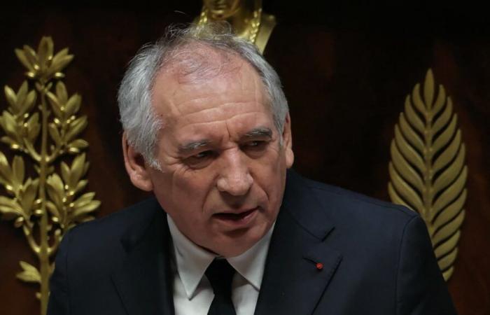 Bayrou défend les « atouts » de la France dans le « nouveau monde de la force brutale »