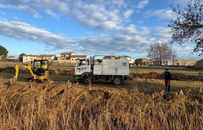 130 arbres plantés pour restaurer les cours d’eau à Florensac