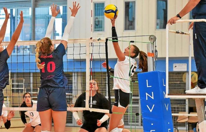 A quarter to take against Chamalières for the Quimper Volley in the Coupe de France