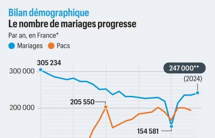 ce que dit le nouveau rapport démographique de la France