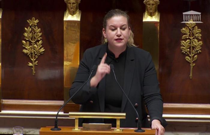 Mathilde Panot accuse le gouvernement de « ne rien respecter » et cible Manuel Valls et Élisabeth Borne