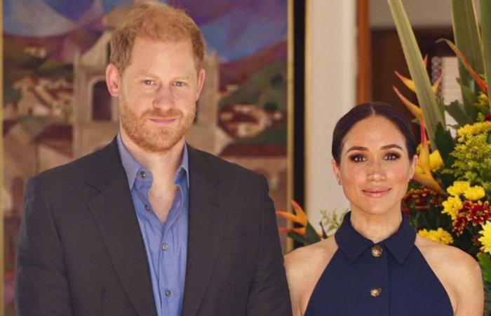 Meghan et Harry vivement critiqués après leur soutien aux victimes