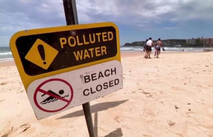 Les plages de Sydney fermées après l’apparition de mystérieuses boules