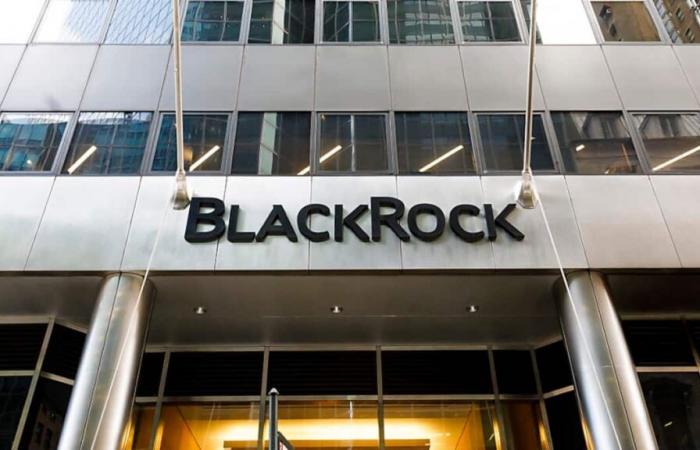 BlackRock dépasse les attentes et marque une année record