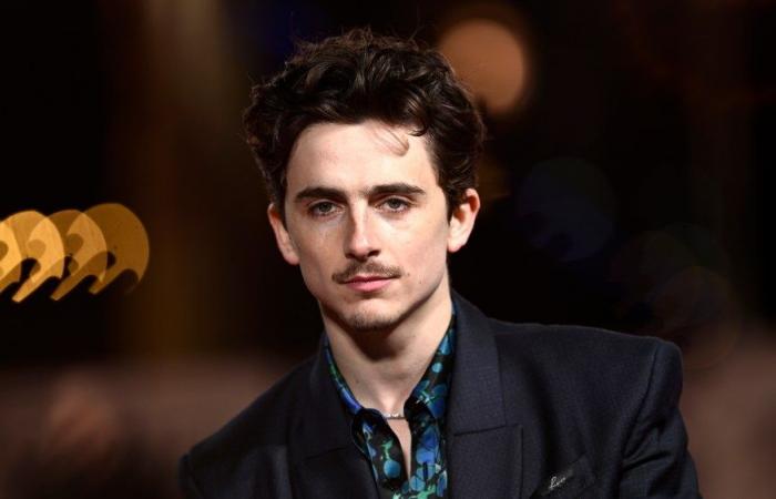 Timothée Chalamet a fait du vélo à la première de “A Complete Unknown” et a été condamné à une amende