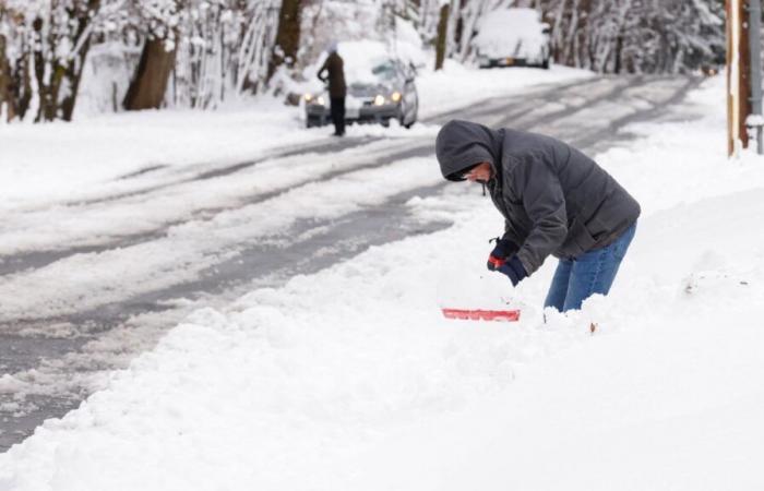 New York sous de fortes chutes de neige et des conditions de voile blanc ; alertes de sécurité émises