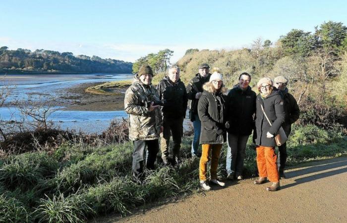 A Pont-Croix, la mobilisation contre le futur parc aventure accrobranche prend de l’ampleur