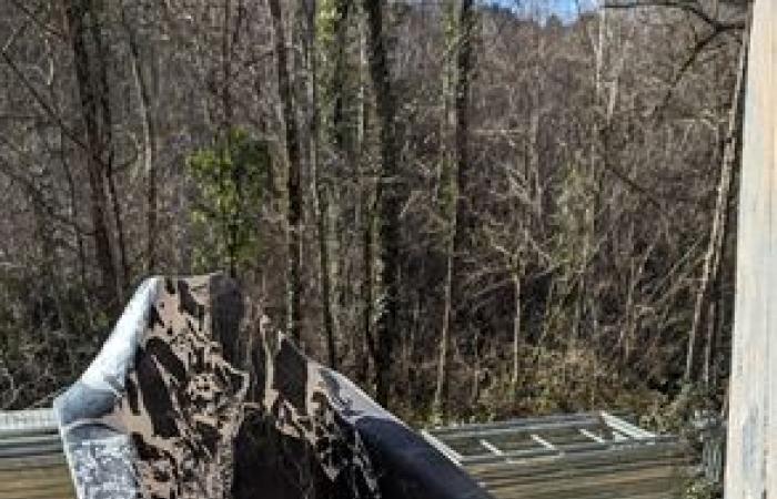 Pascal Nau, « un vilain petit canard » devenu grand tailleur de pierre au cœur de la forêt à Montfa