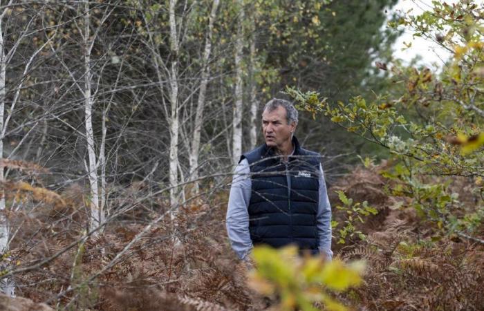 «Pour nous, c’était vital», déclare le directeur général d’Alliance Forêts Bois