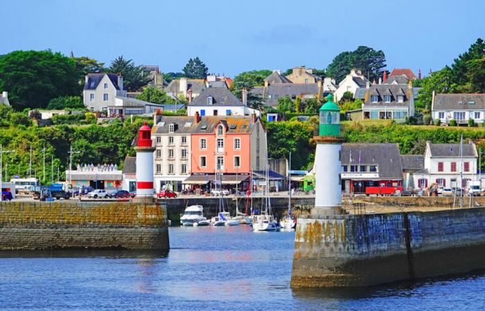 Quelles mesures environnementales cette pétition demande-t-elle sur une île du sud de la Bretagne ?