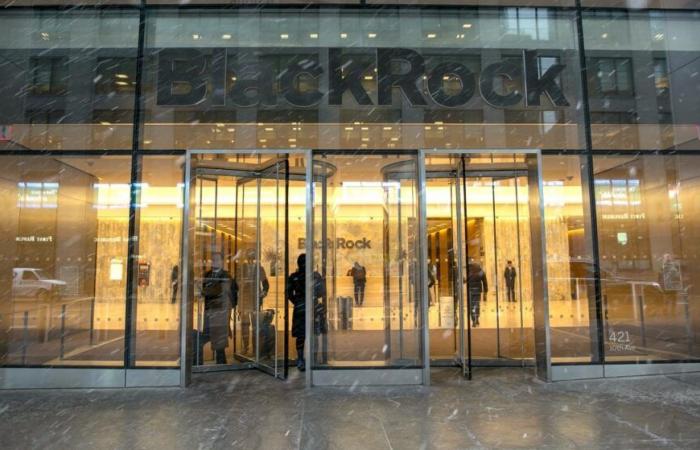 Le chiffre d’affaires de BlackRock dépasse les 20 milliards de dollars en 2024