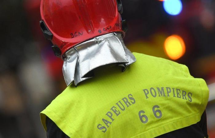 une quarantaine de pompiers sont actuellement déployés, des renforts venus d’Espagne devraient arriver sur place