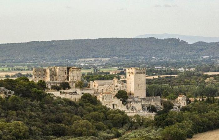 L’abbaye de Montmajour en majesté