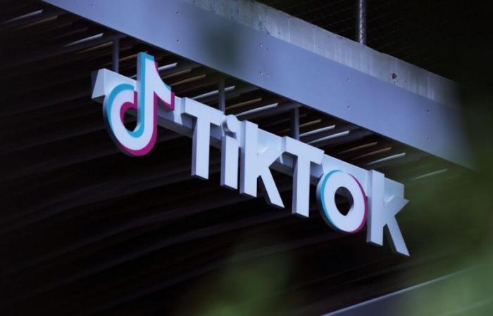 La Chine étudie la possibilité de vendre TikTok à Elon Musk