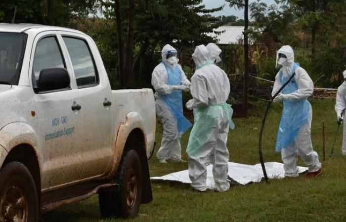 Une épidémie présumée du virus de Marburg fait huit morts dans la région de Kagera (OMS)