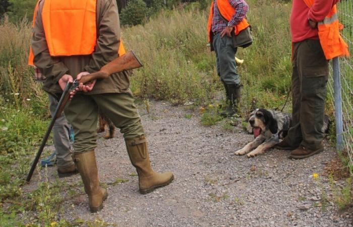 La préfecture alerte sur une suspicion de maladie d’Aujeszky (pseudo-rage) chez le chien dans le Bas-Rhin