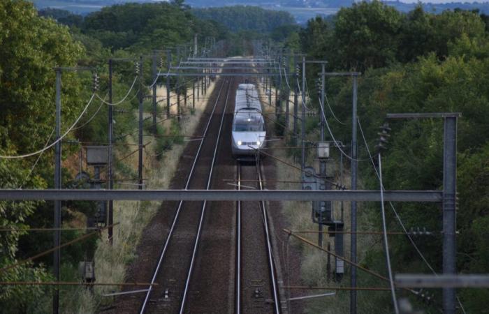 Une femme de 34 ans décède après avoir été heurtée par un train à un passage à niveau