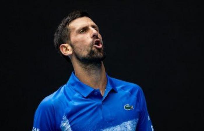 Djokovic lâche un set, Alcaraz calme