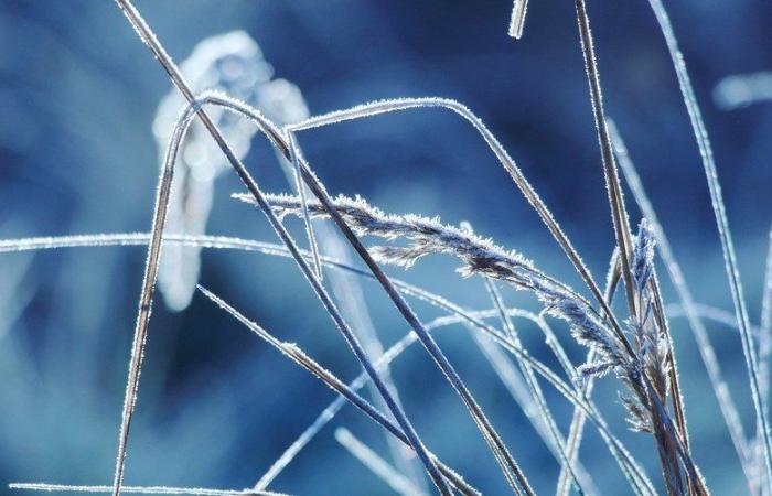 températures de -11°C enregistrées ce mercredi matin, l’Aveyron toujours balayé par le froid