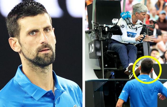 Novak Djokovic secoué après la « folie » de mi-match alors que Carlos Alcaraz fait une déclaration