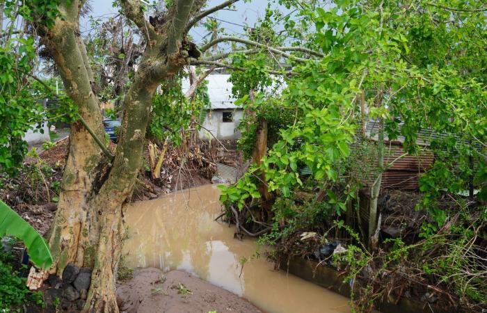 un mois après le cyclone, Mayotte résiste à la tempête