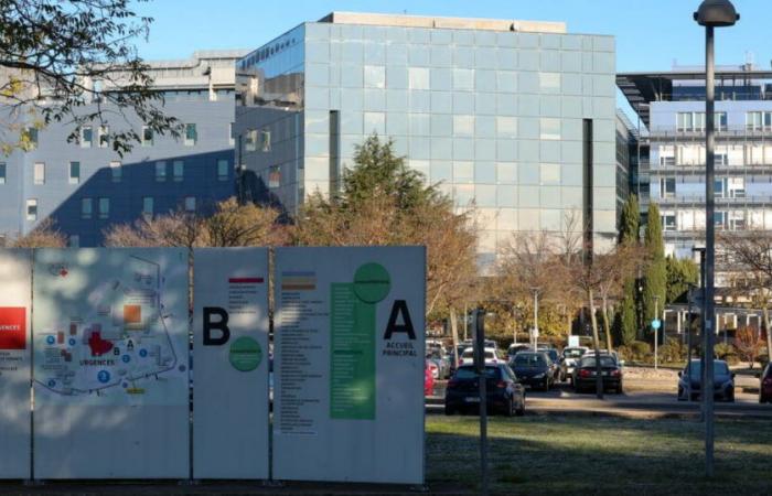 Drôme. Les hôpitaux de Valence, Montélimar et Romans unissent leurs ressources en ORL