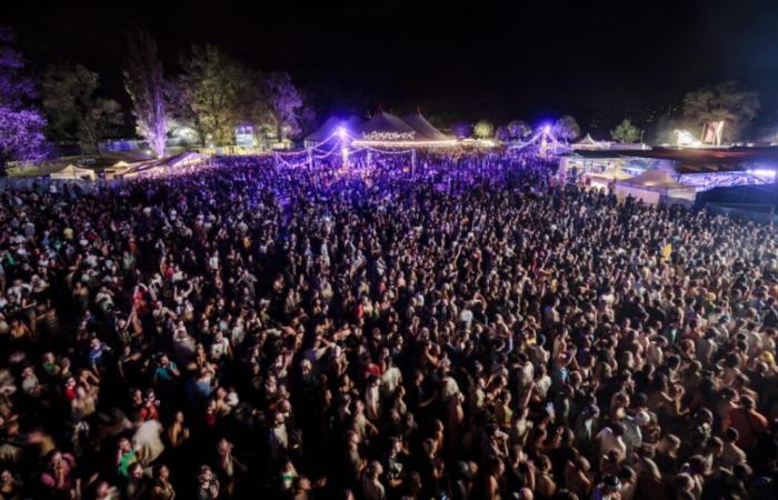 Le festival Woodstower déménage à Gerland