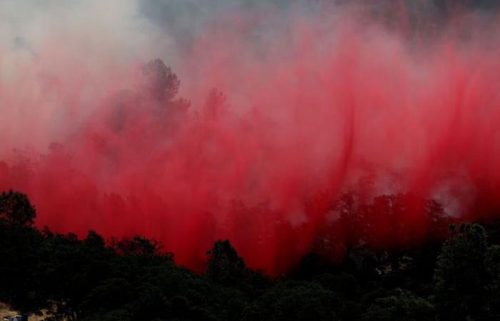 qu’est-ce que la poudre rose larguée par les avions à Los Angeles (et est-elle toxique) ?