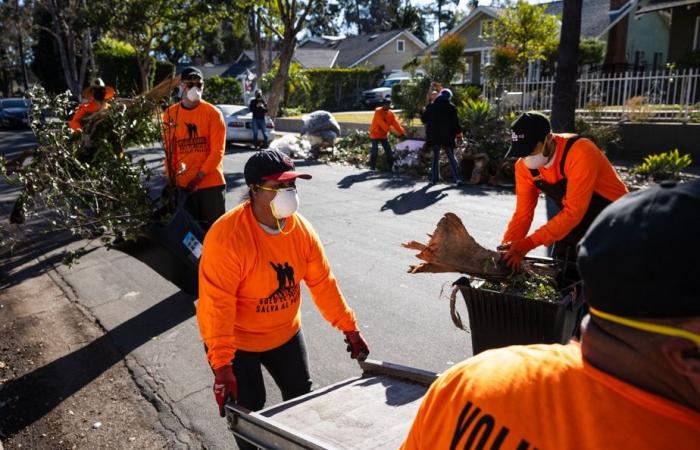 Incendies à Los Angeles | Des bénévoles nettoient les rues jonchées de débris carbonisés