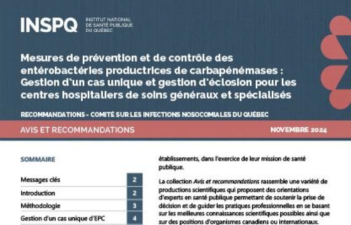 Mesures de prévention et de contrôle des entérobactéries productrices de carbapénémases : prise en charge de cas uniques et gestion des épidémies pour les centres hospitaliers généraux et spécialisés