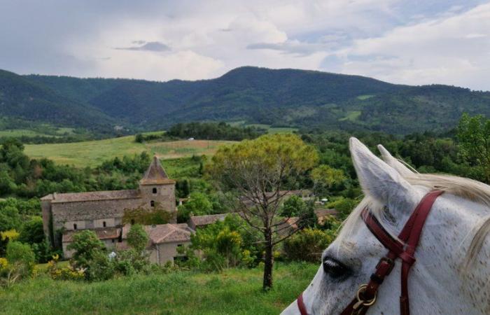 Aude Cheval Nature et l’Office de Tourisme de Limouxin souhaitent développer le tourisme équestre en Limouxin et dans les Pyrénées Audoises