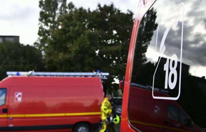 Épervans. Un tas de bois prend feu, la propagation est en partie évitée par les pompiers