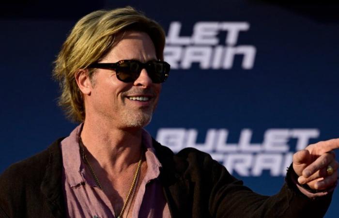 Victime de la fausse arnaque à Brad Pitt cyber-harcelée