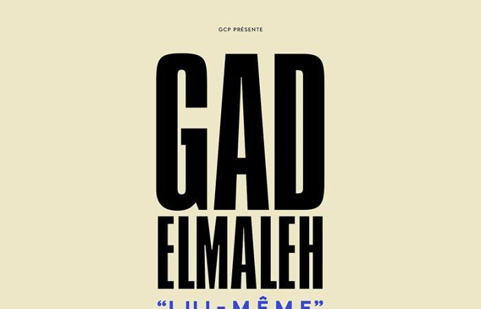 cet affrontement lunaire entre Gad Elmaleh et Vincent Lindon