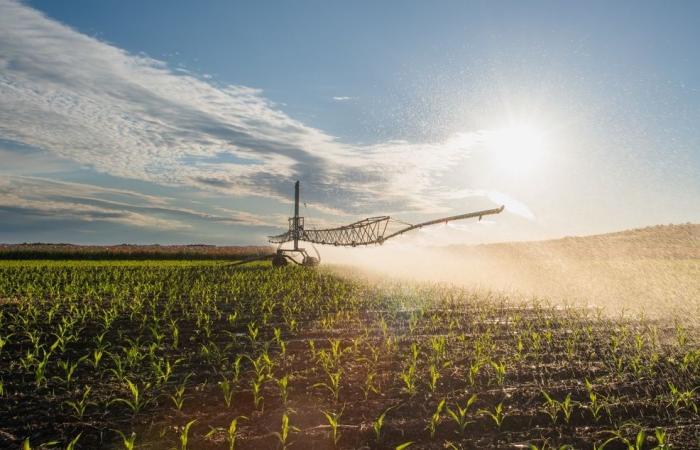 Le Vaucluse parmi les plus gros consommateurs de pesticides