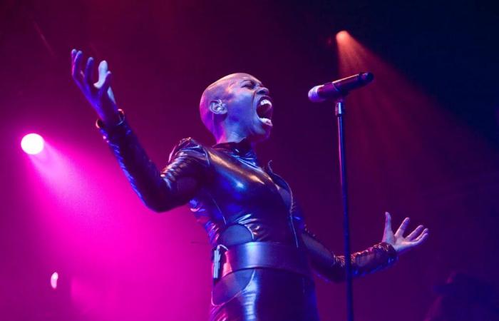 Skunk Anansie revient avec un single explosif, « An Artist Is An Artist »