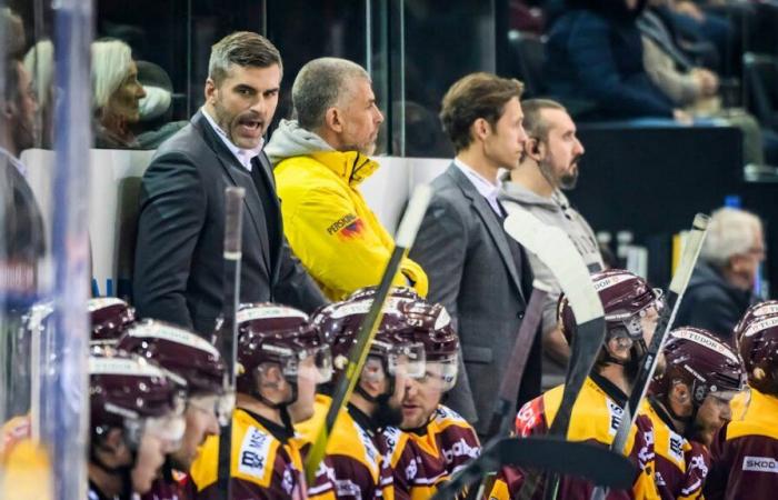 Quel serait l’entraîneur idéal pour Genève-Servette ?