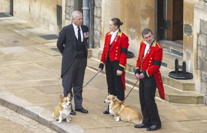 son frère tient en otage les chiens d’Elizabeth II