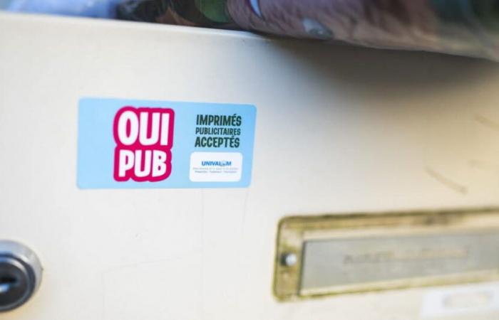 quels résultats pour l’expérimentation « Oui Pub » ?