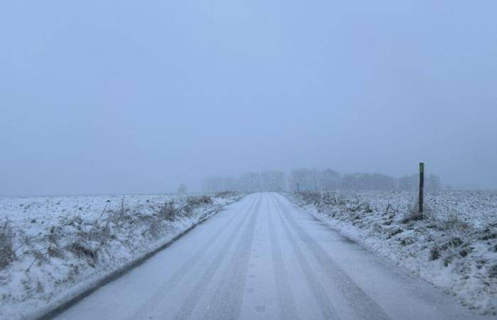 De la neige en plaine cette semaine en France ? Quelques flocons de neige sont attendus, voici où