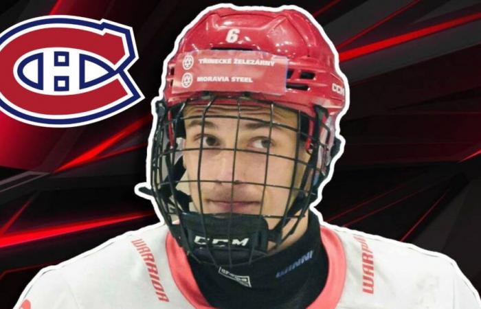 Acquisitions du CH: un défenseur de 6 pieds 6 pouces vient d’être ciblé par Kent Hughes et les Canadiens de Montréal – Habs Et NHL