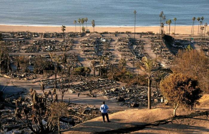 Le roman qui prophétisait les incendies de Los Angeles