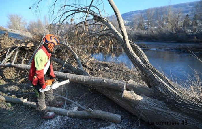 Une course contre la montre pour éliminer les embâcles sur les bords de Loire et du Lignon