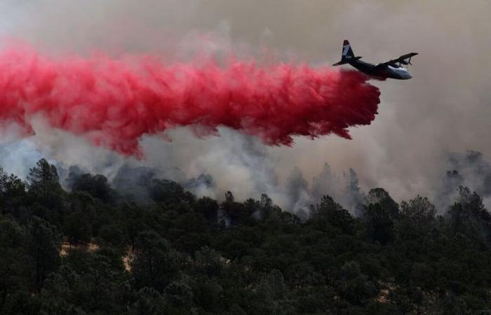 qu’est-ce que la poudre rose larguée par les avions à Los Angeles (et est-elle toxique) ?