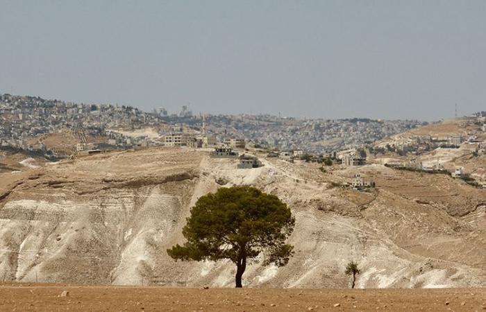 Soutenir un centre palestinien – Le Courrier