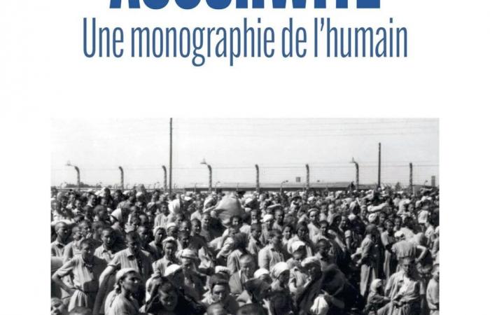 «Auschwitz. Une monographie de l’humain », « Du silence et de l’or », « J’approche de la fin »…