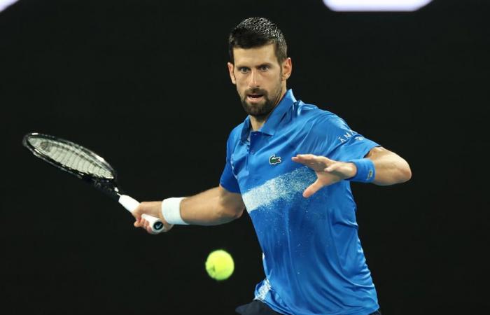 Novak Djokovic secoué après la « folie » de mi-match alors que Carlos Alcaraz fait une déclaration