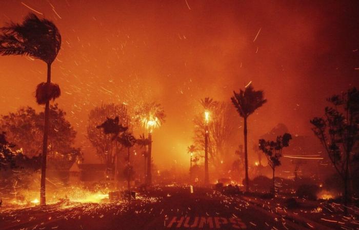 Dévastée par les incendies, Los Angeles espère une accalmie